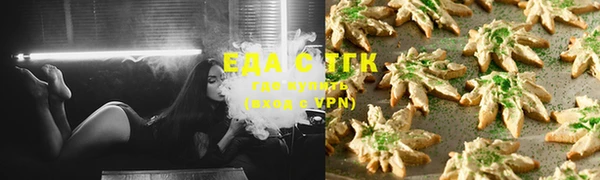 индика Кинешма