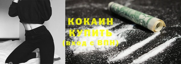 индика Кинешма