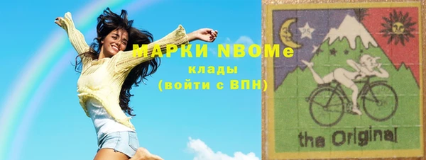 индика Кинешма
