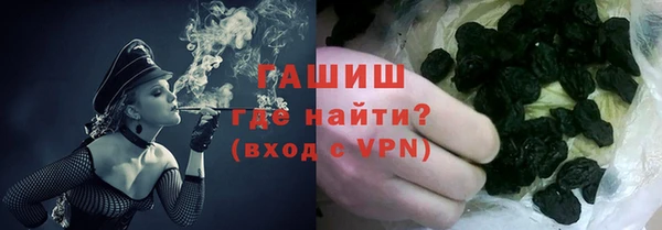 индика Кинешма