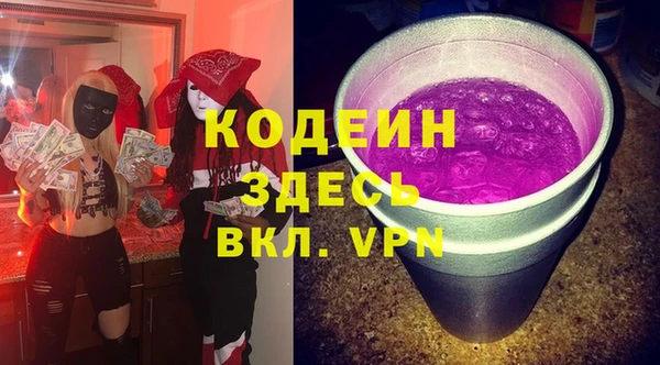 индика Кинешма