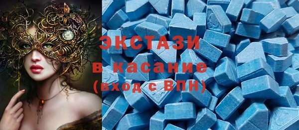 индика Кинешма