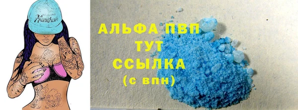 дмт Козельск