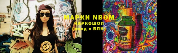 индика Кинешма