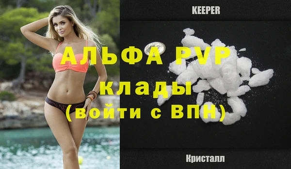 индика Кинешма