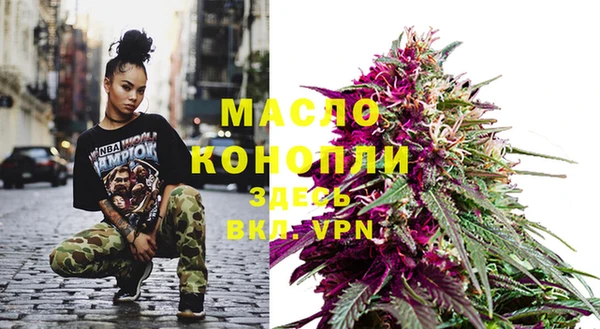 индика Кинешма