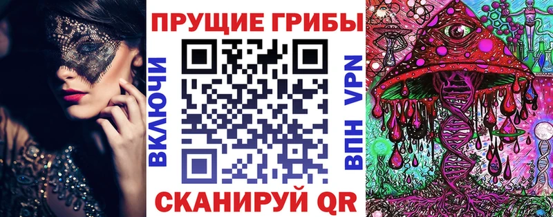 Купить закладки  Георгиевск  Псилоцибиновые грибы GOLDEN TEACHER 